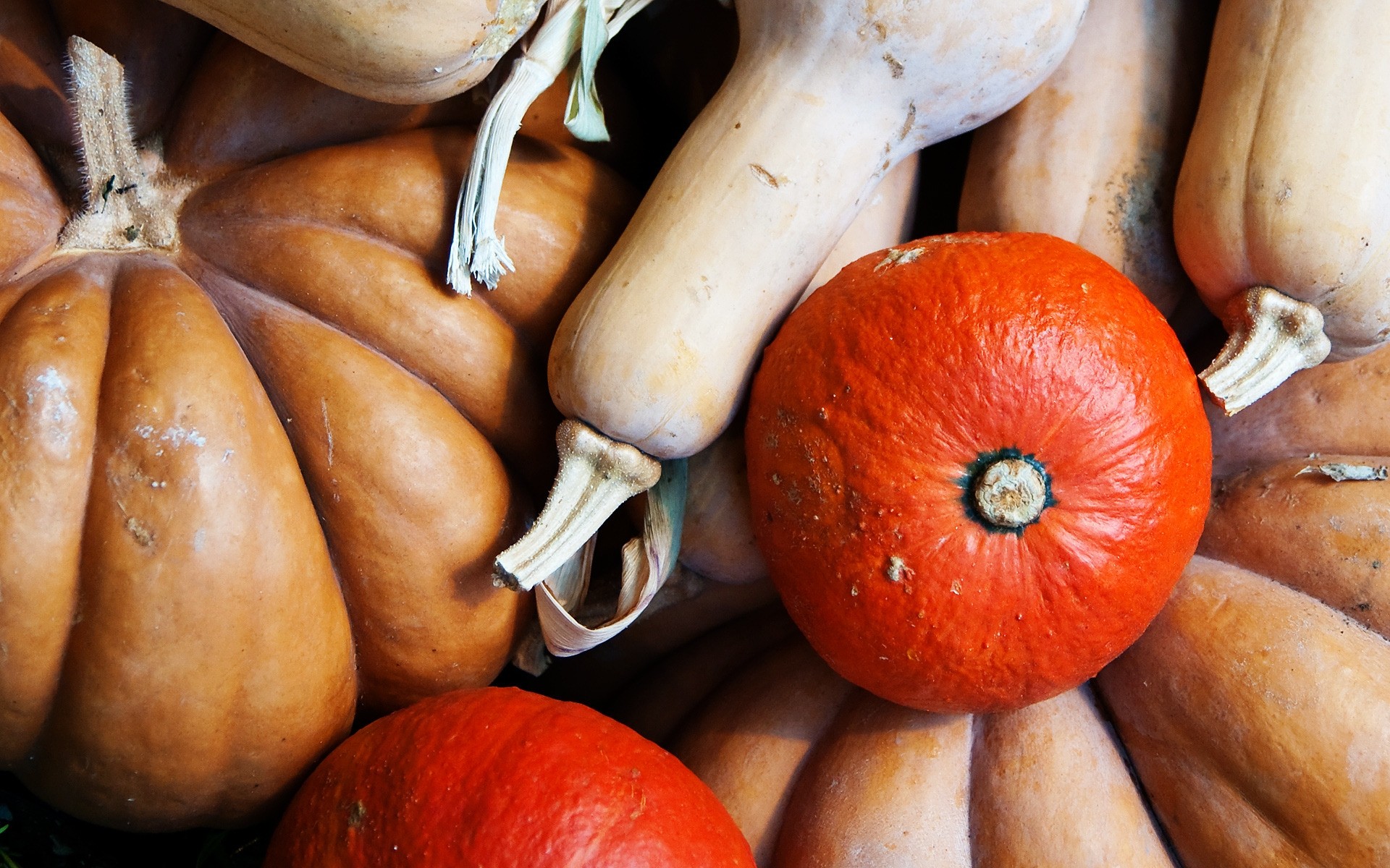 automne alimentaire automne fruits citrouille pâturage halloween bureau bois marché délicieux en bonne santé santé agriculture légume alimentaire pâtisserie