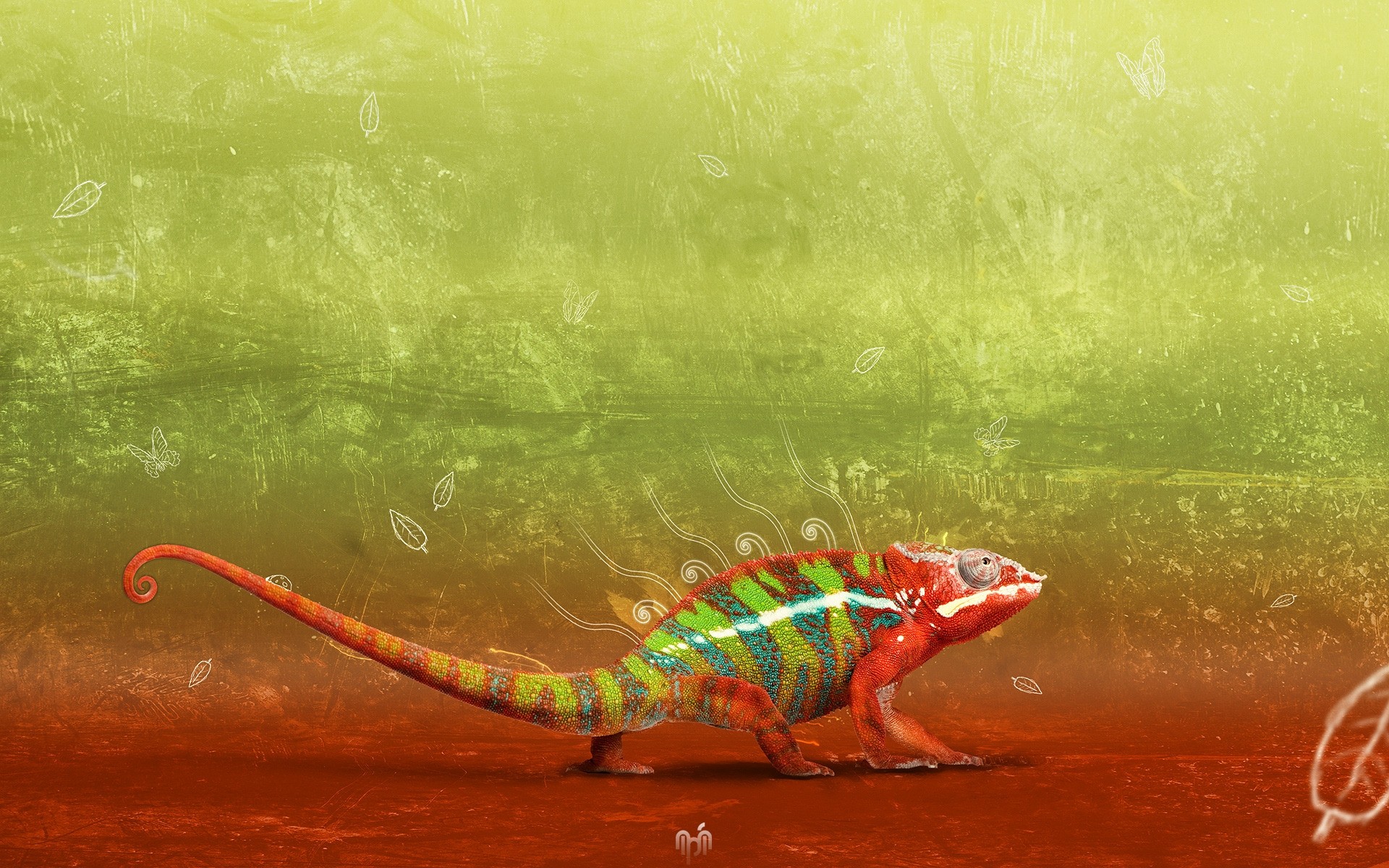 reptiles et grenouilles eau nature à l extérieur caméléon
