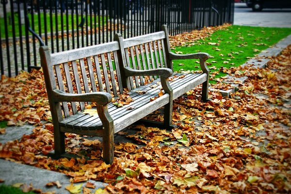 Banco del parque en medio del paisaje otoñal