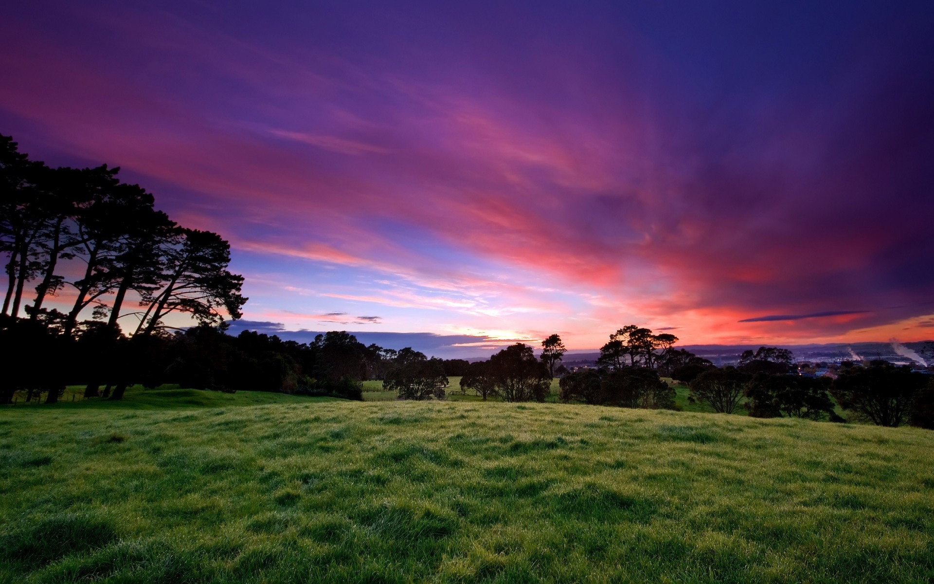 paysage coucher de soleil herbe paysage nature aube ciel soir soleil à l extérieur arbre été crépuscule campagne rural