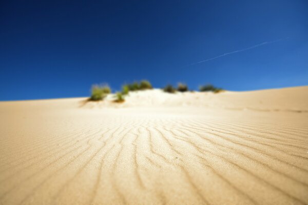 Sandy desert in the center with an oasis