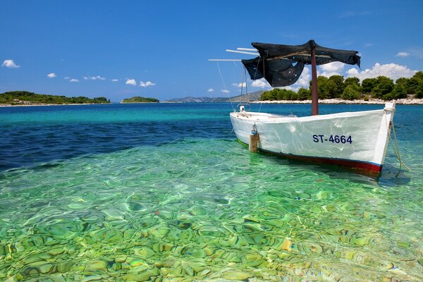 Viagem ao mar azul-turquesa de barco