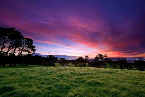 Paisaje de puesta de sol. El claro verde