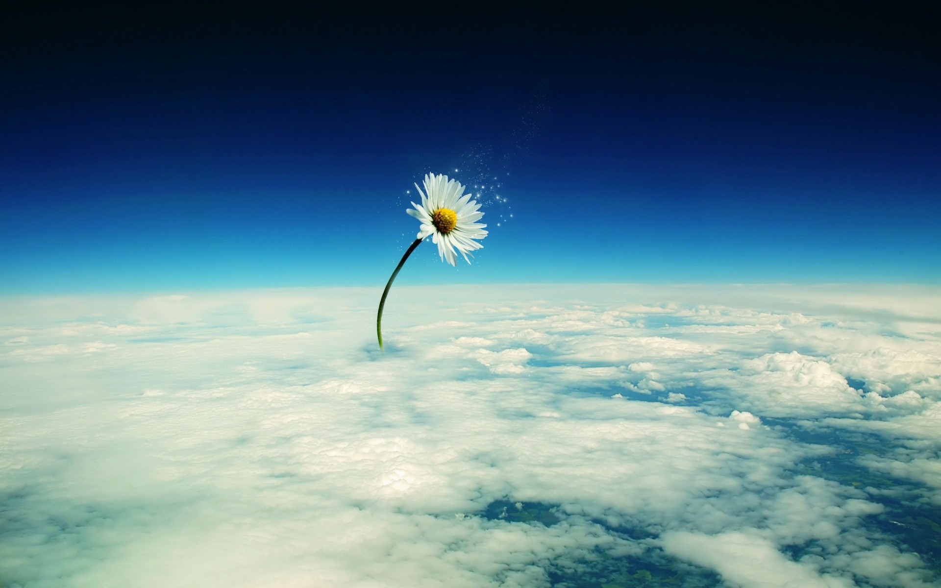 flores céu sol natureza bom tempo ao ar livre luz paisagem espaço tempo nuvem verão céu luz do dia lua liberdade atmosfera