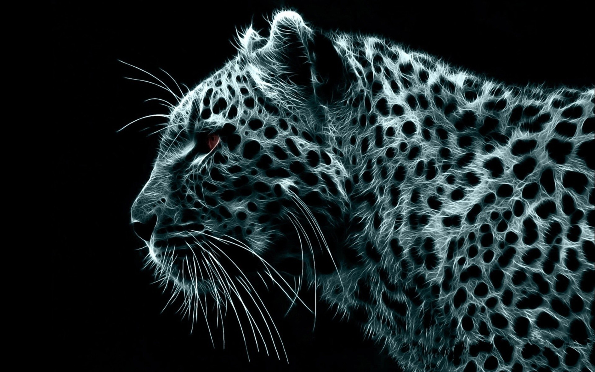 animais gato vida selvagem perigo leopardo animal mamífero jardim zoológico predador