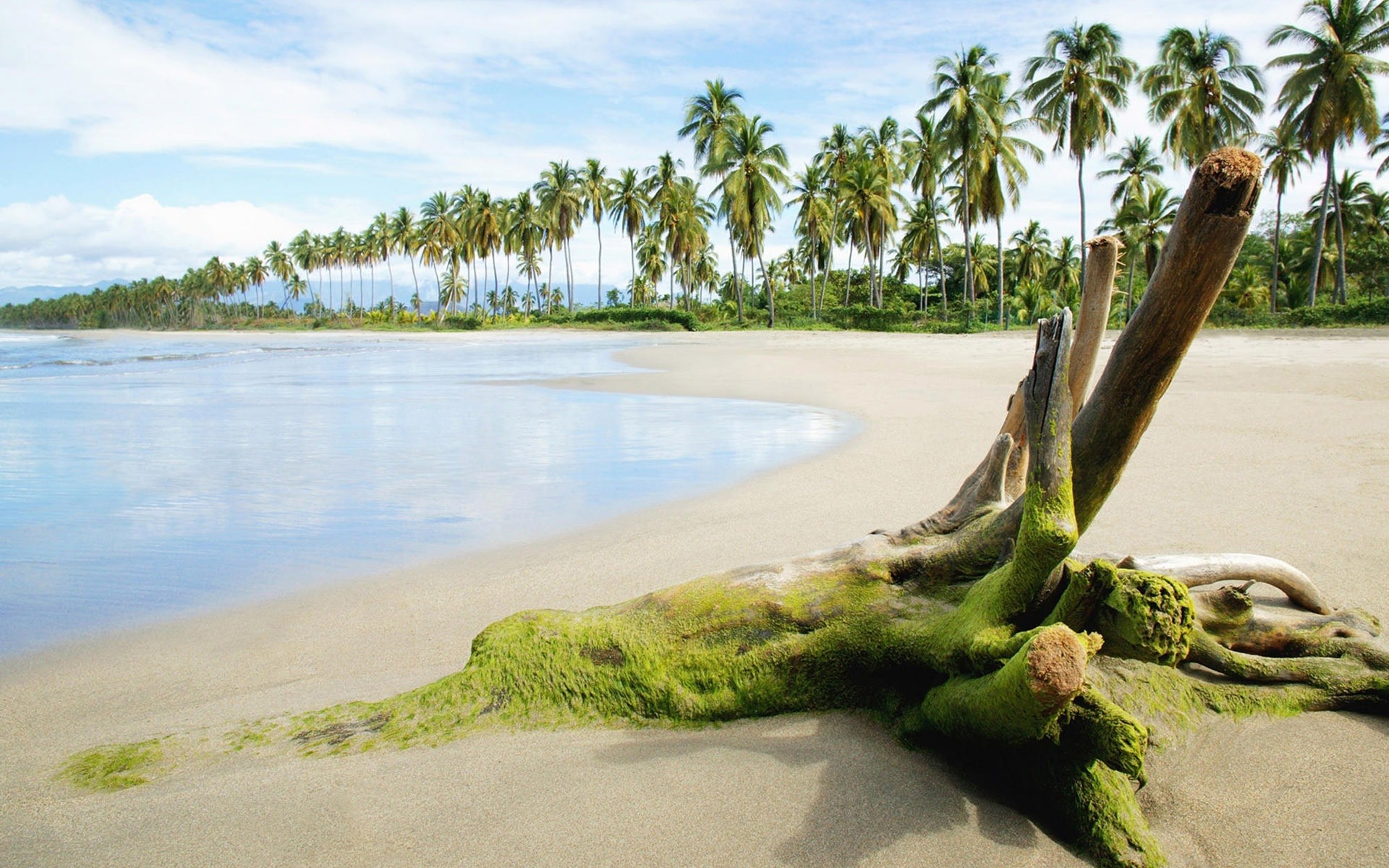 summer water seashore beach travel tropical sand ocean nature tree landscape sea vacation sky outdoors