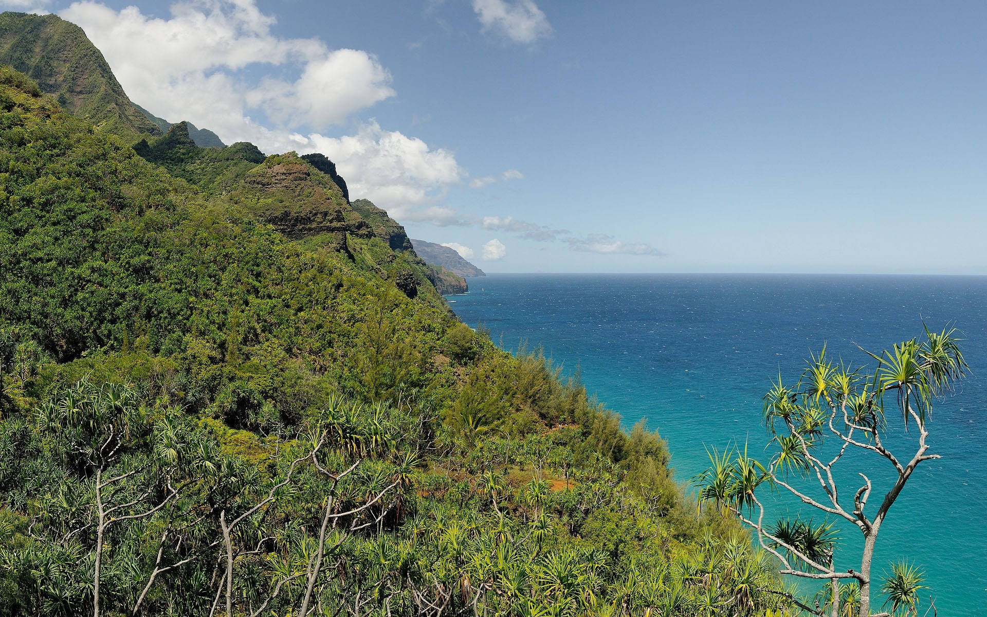 autres villes nature voyage paysage eau mer ciel île tropical arbre mer montagne été à l extérieur océan pittoresque plage bois belle colline arbres vert