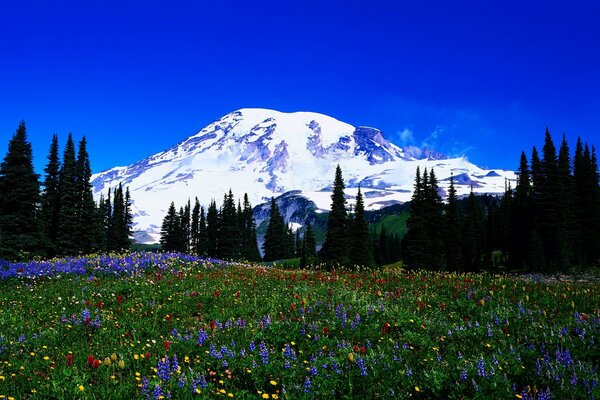 Paysages enneigés pittoresques des montagnes