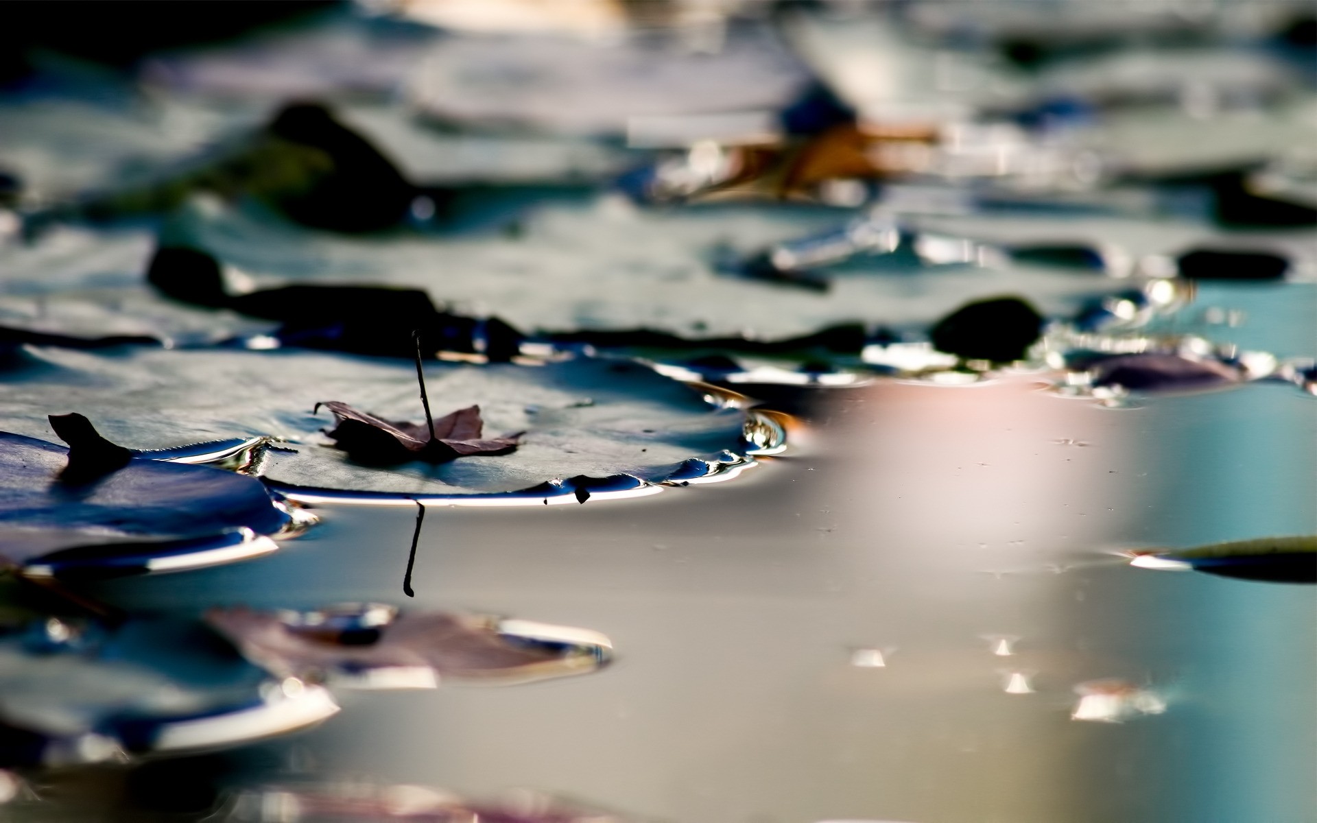 herbst reflexion wasser see reisen meer boot geschäft landschaft farbe blätter