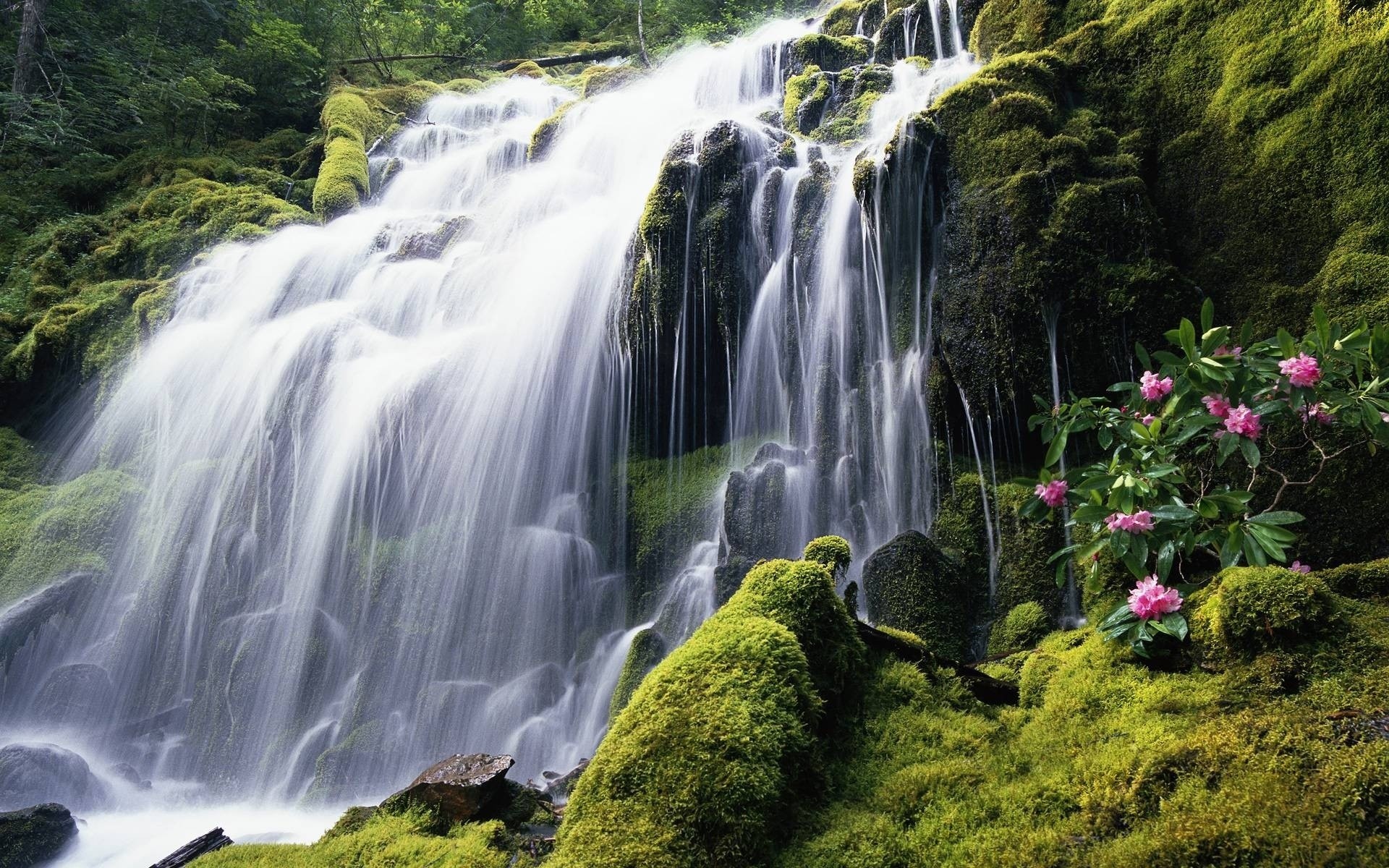 landscapes waterfall water nature wood river stream cascade rock outdoors landscape moss travel leaf fall mountain wild wet flow park flowers green grass