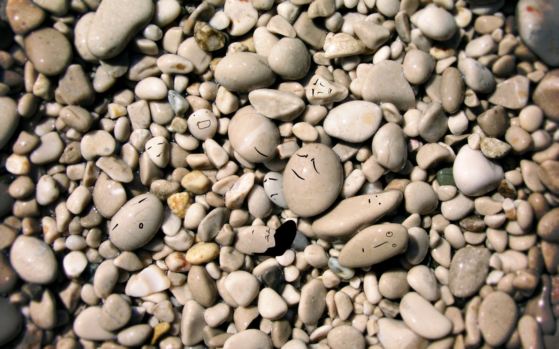 текстура фасоли рок рабочего стола партия крупным планом камень шпунт многие сухой гравий семян гладкая хлопья кофе аннотация булыжник еда урожай дзен камни камни