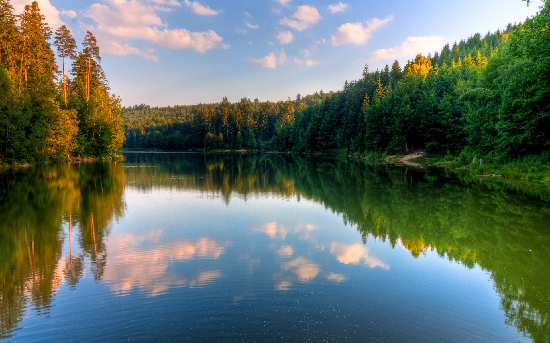 Нетронутая природа озеро лес бесплатно