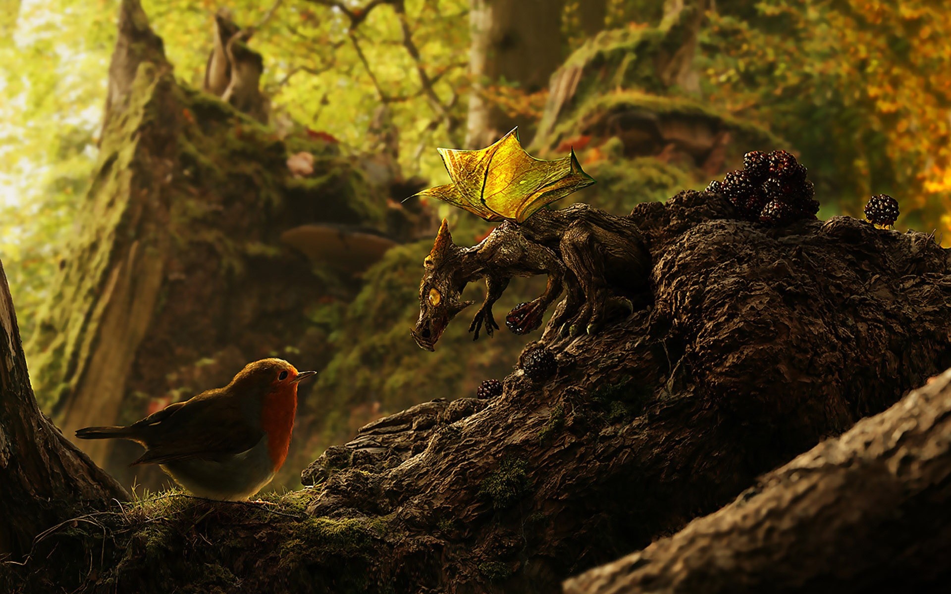 tiere vogel tierwelt baum natur nest im freien moos holz fortpflanzung drachen