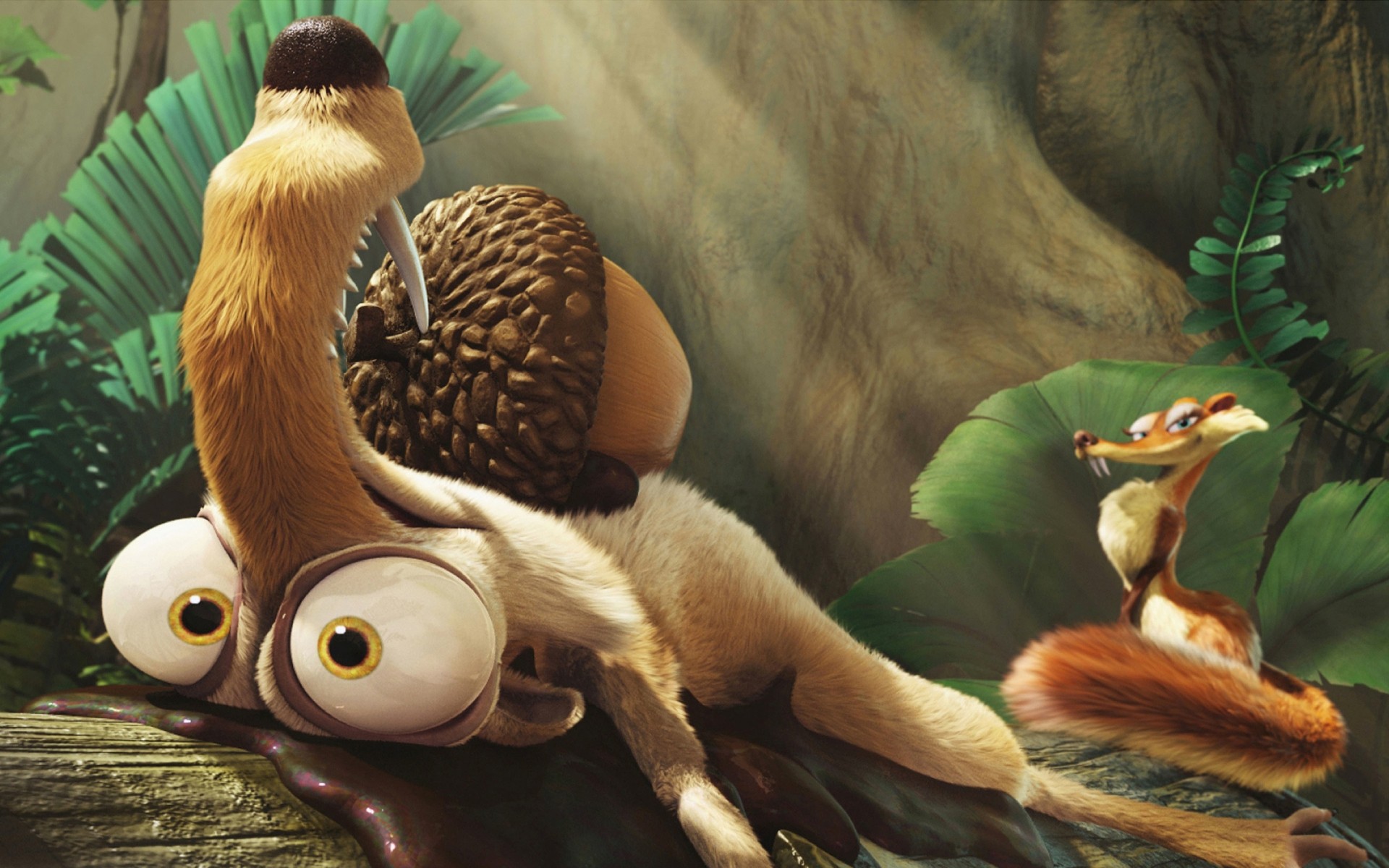 filme vogel tierwelt vögel natur ein zoo ente tier film cartoon