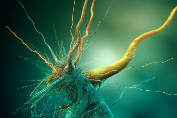 Plexus of neurons in 3D graphics picture