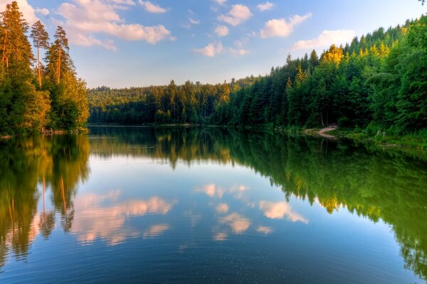 Reflection of the autumn forest in the river