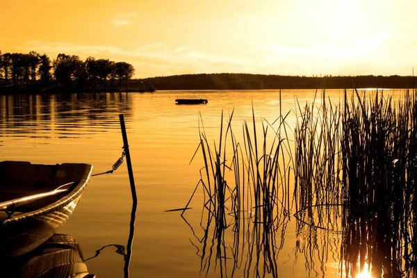 A bright sunset in the reflection of the lake