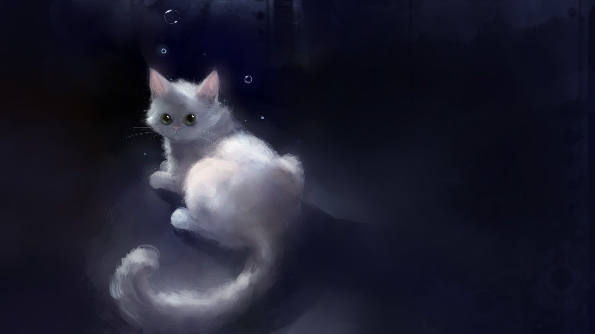 Хмурый взгляд пушистого белого котенка - обои на Андроид бесплатно.