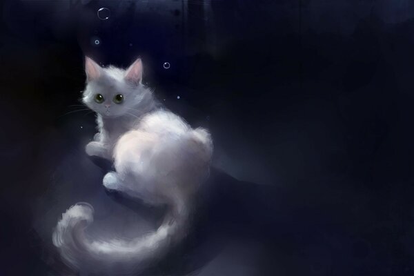 Portrait of a white kitten in the dark