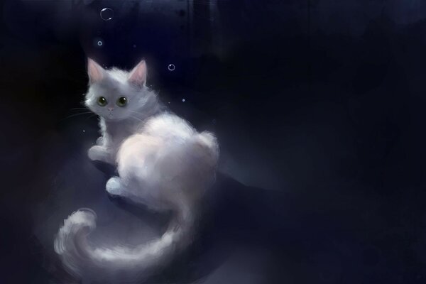 在黑暗中的白色小猫的肖像