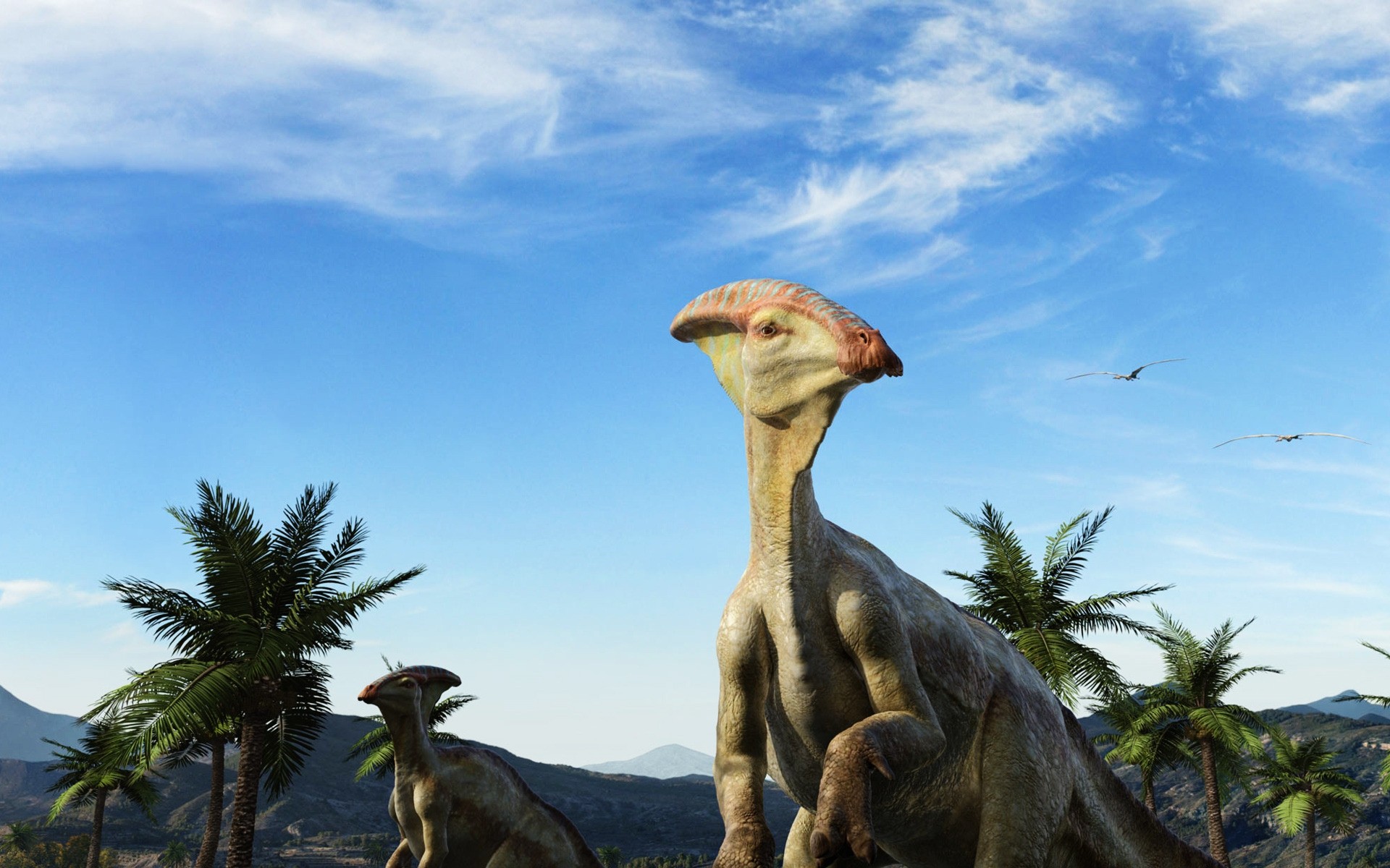 animali viaggi cielo deserto turismo all aperto luce del giorno natura dinosauro