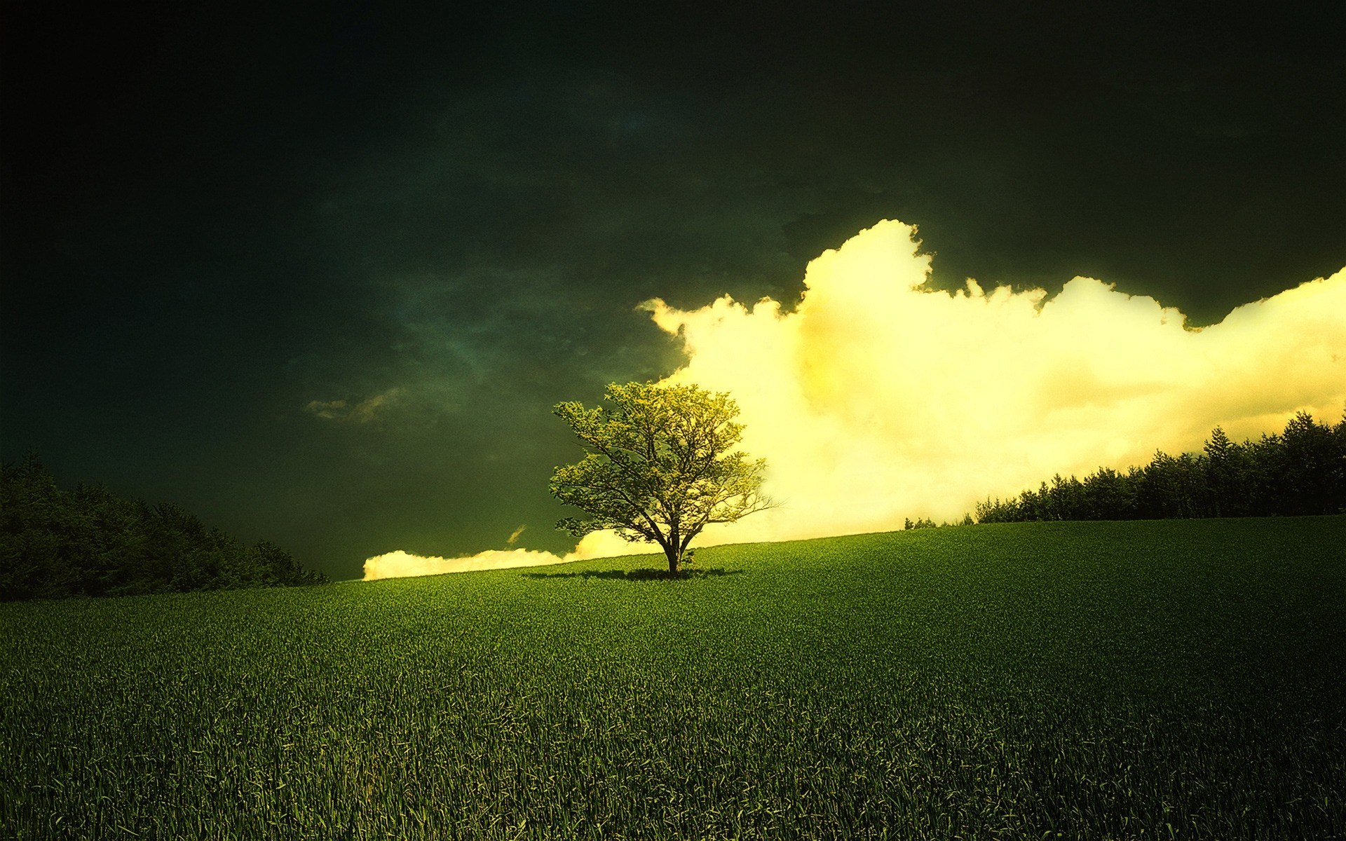 природа трава деревья небо облака холмы бесплатно