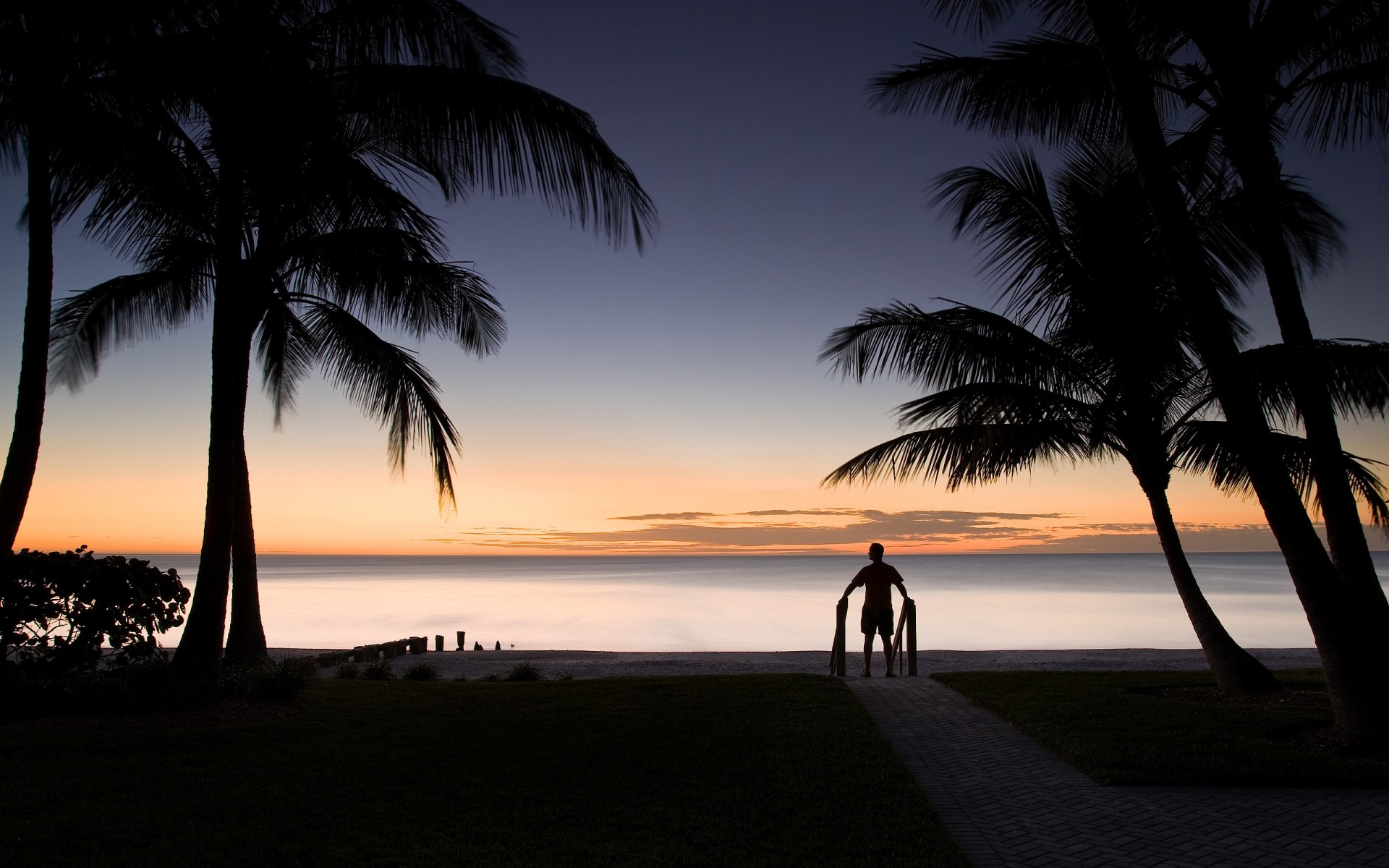 été plage océan mer eau sable soleil tropical voyage arbre île coucher de soleil idylle paysage palmier palmyre