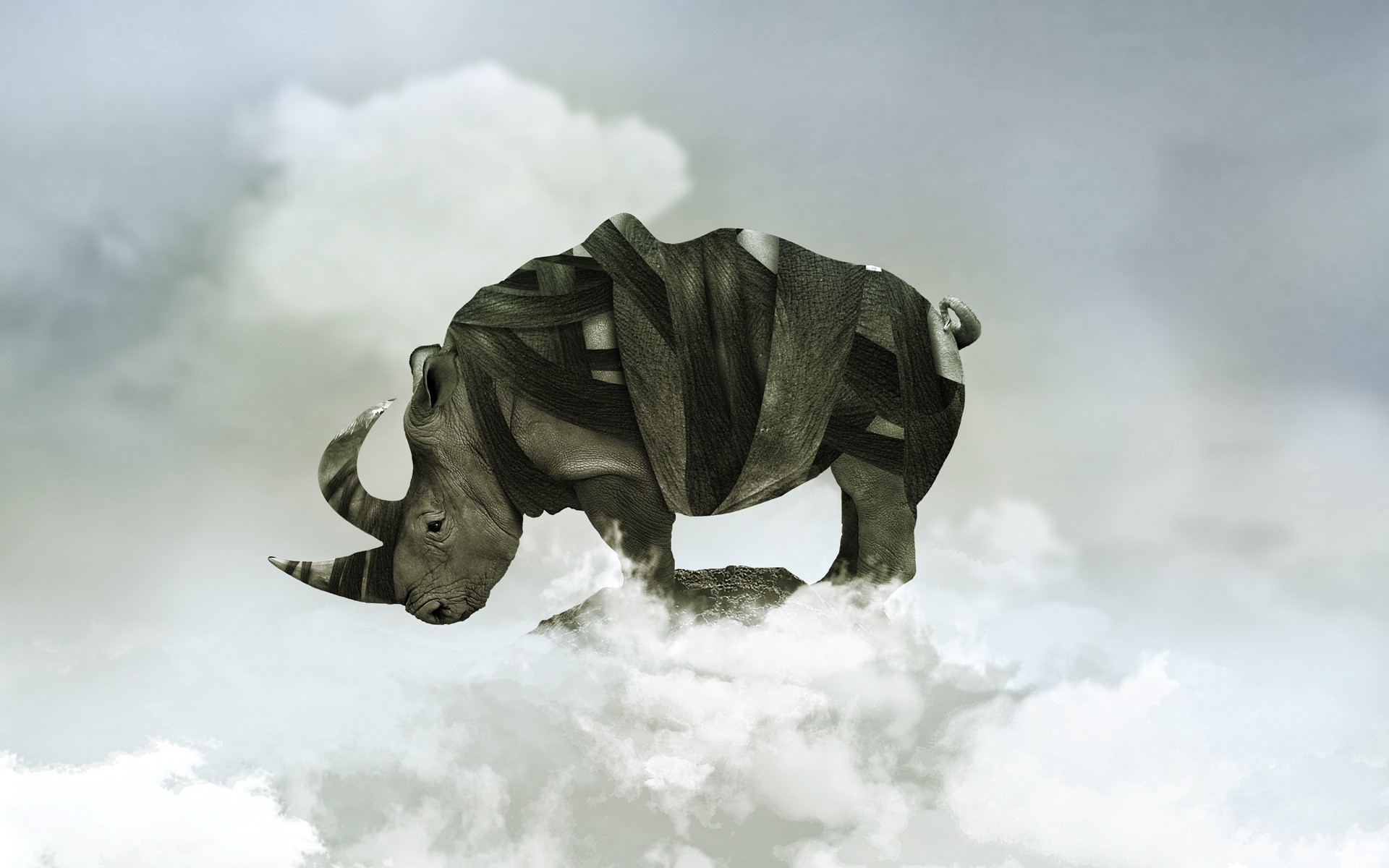 photo manipulation sky winter snow outdoors nature animal mammal travel one landscape wildlife two rhinoceros