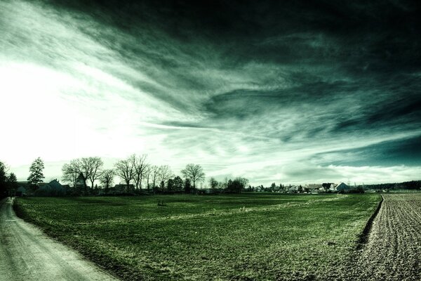 A green field in the evening twilight