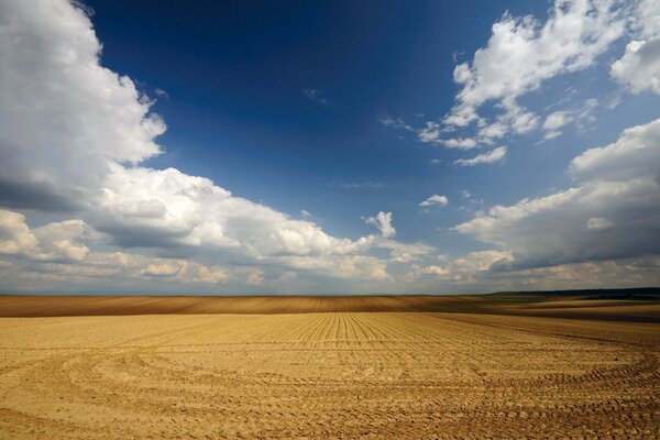 Natürliche Landschaft von sauberem Feld und blauem Himmel