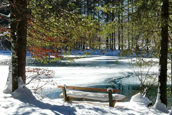 There was a bench near the pond