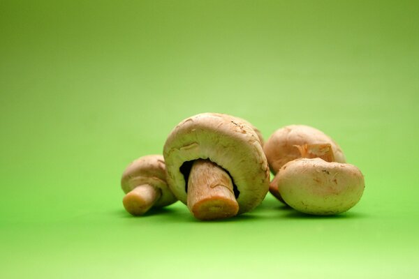 Pilze auf grünem Hintergrund. Champignons