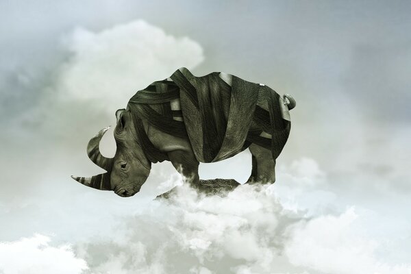 The tortured rhinoceros reached the top of the mountain