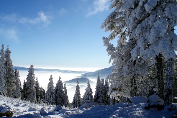 Ein frostiger Wintermorgen