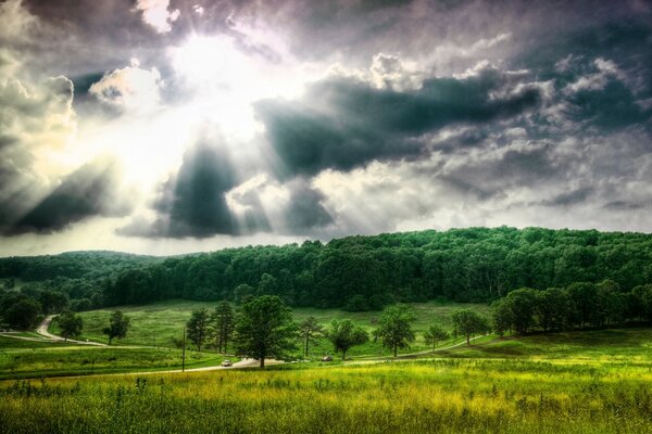 The breaking rays of the sun and the carpet from the forest