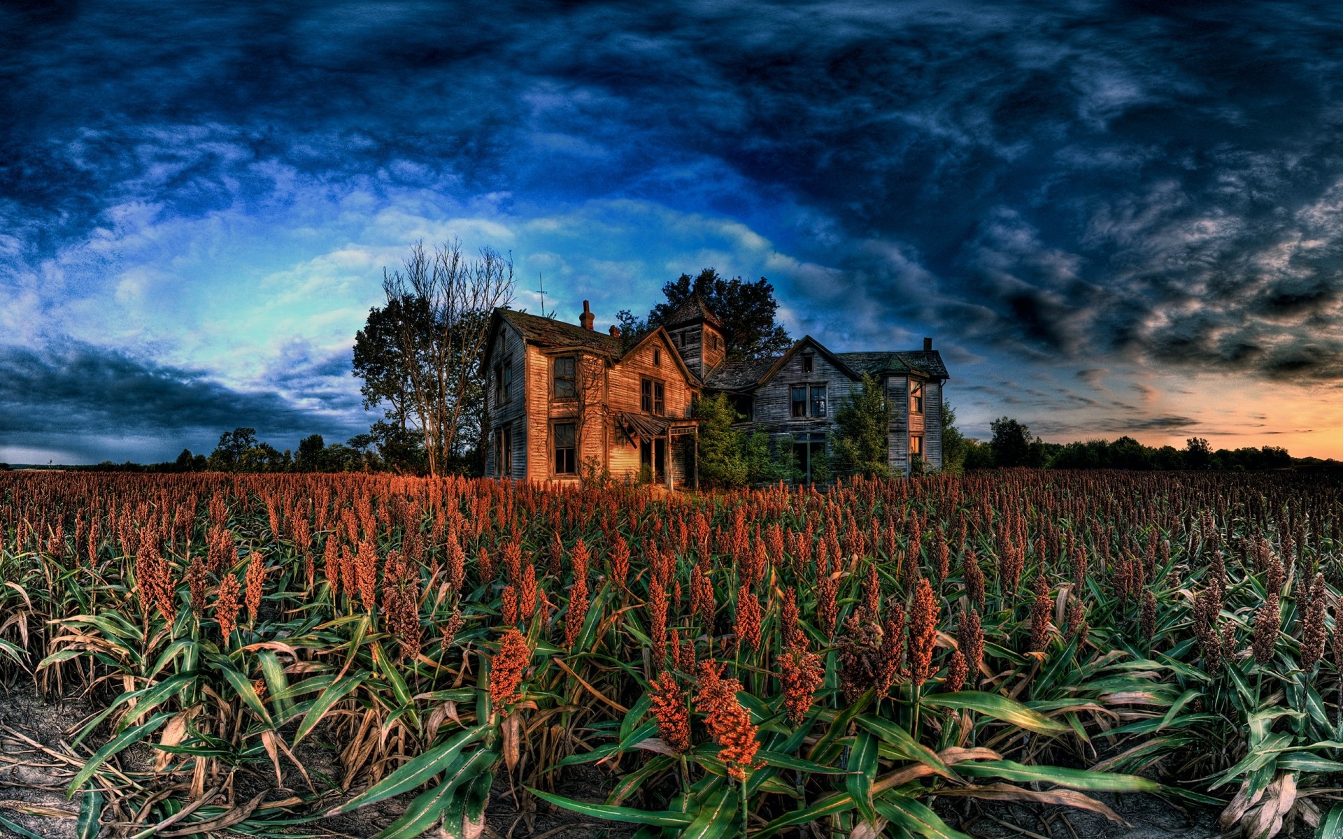 landscapes agriculture outdoors sky farm landscape nature travel cropland dawn field sunset crop countryside growth hdr clouds