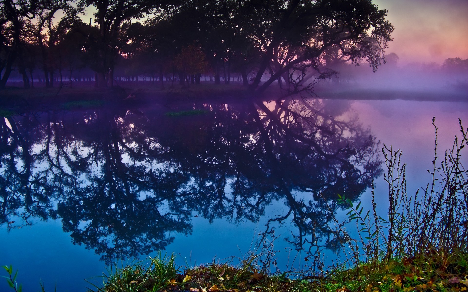 景观 景观 晚上 水 天空 树 黎明 自然 黄昏 日落 反射 户外 湖 风景 光 旅游 木材 雾 紫色