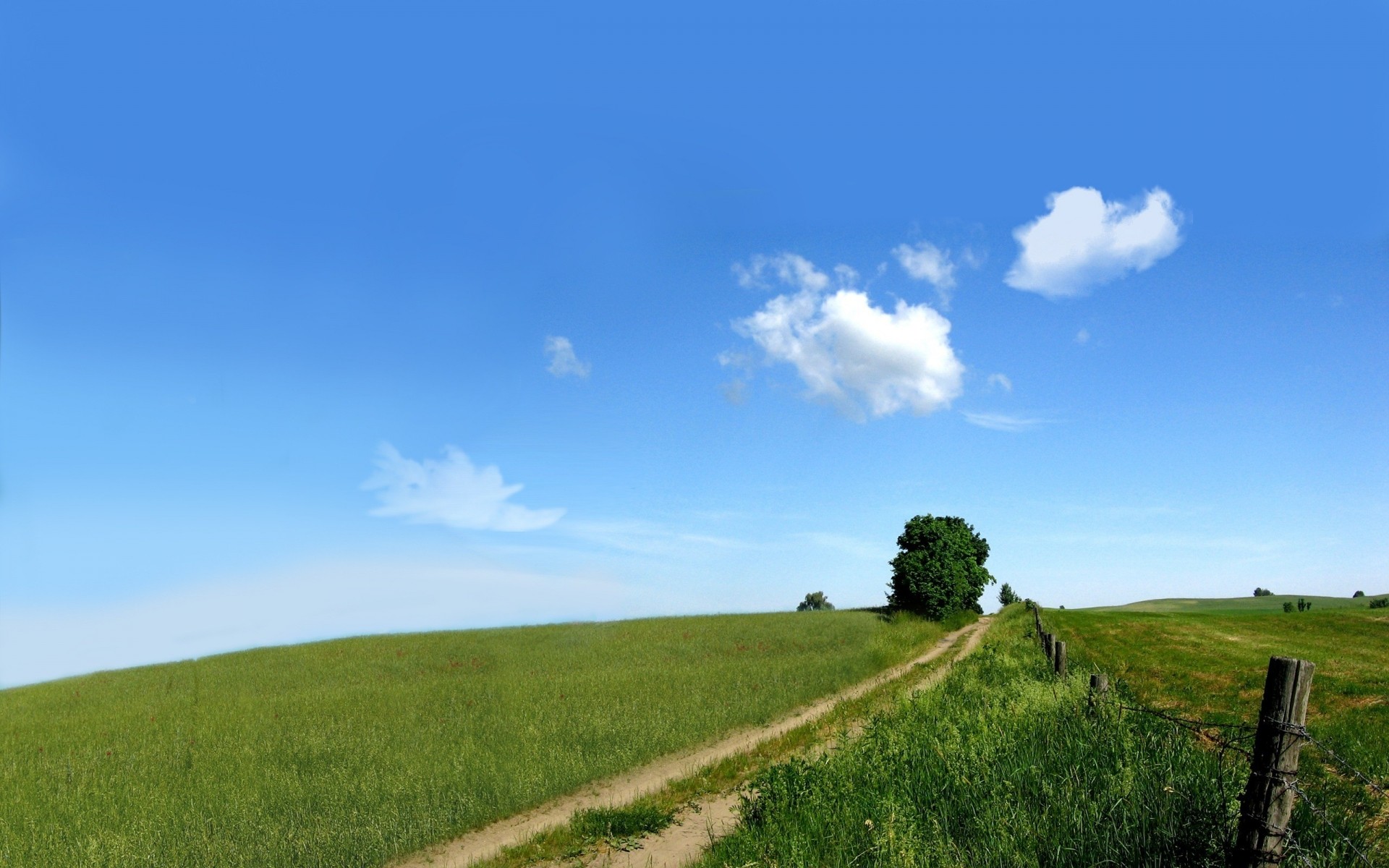 paisaje paisaje naturaleza hierba cielo rural al aire libre campo verano campo agricultura pasto buen tiempo árbol heno idilio horizonte sol suelo granja fondo árboles