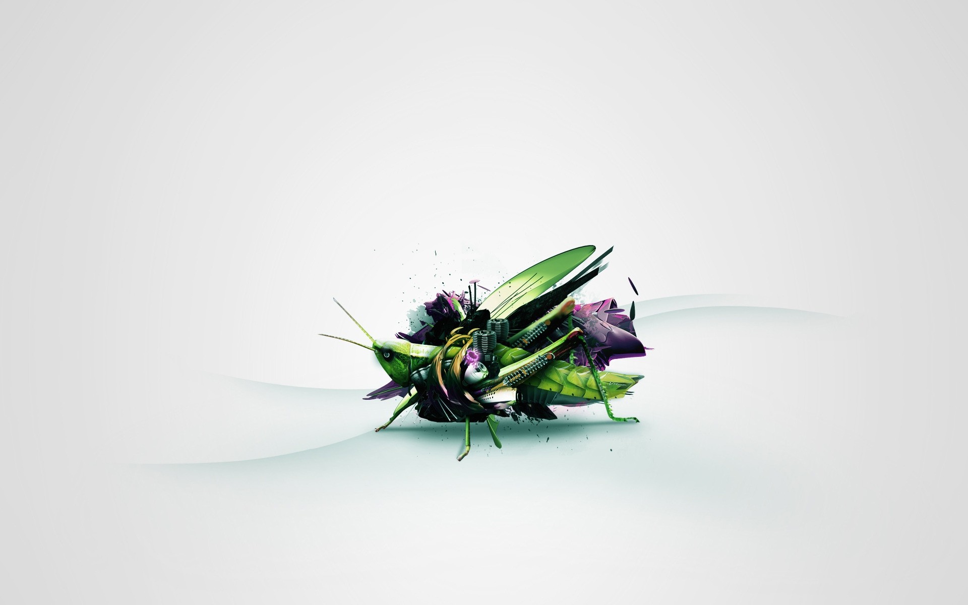 photo manipulation insect antenna nature invertebrate beetle leaf