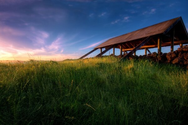 Landschaft der Natur, des Himmels und des Grases auf Sonnenuntergang Hintergrund