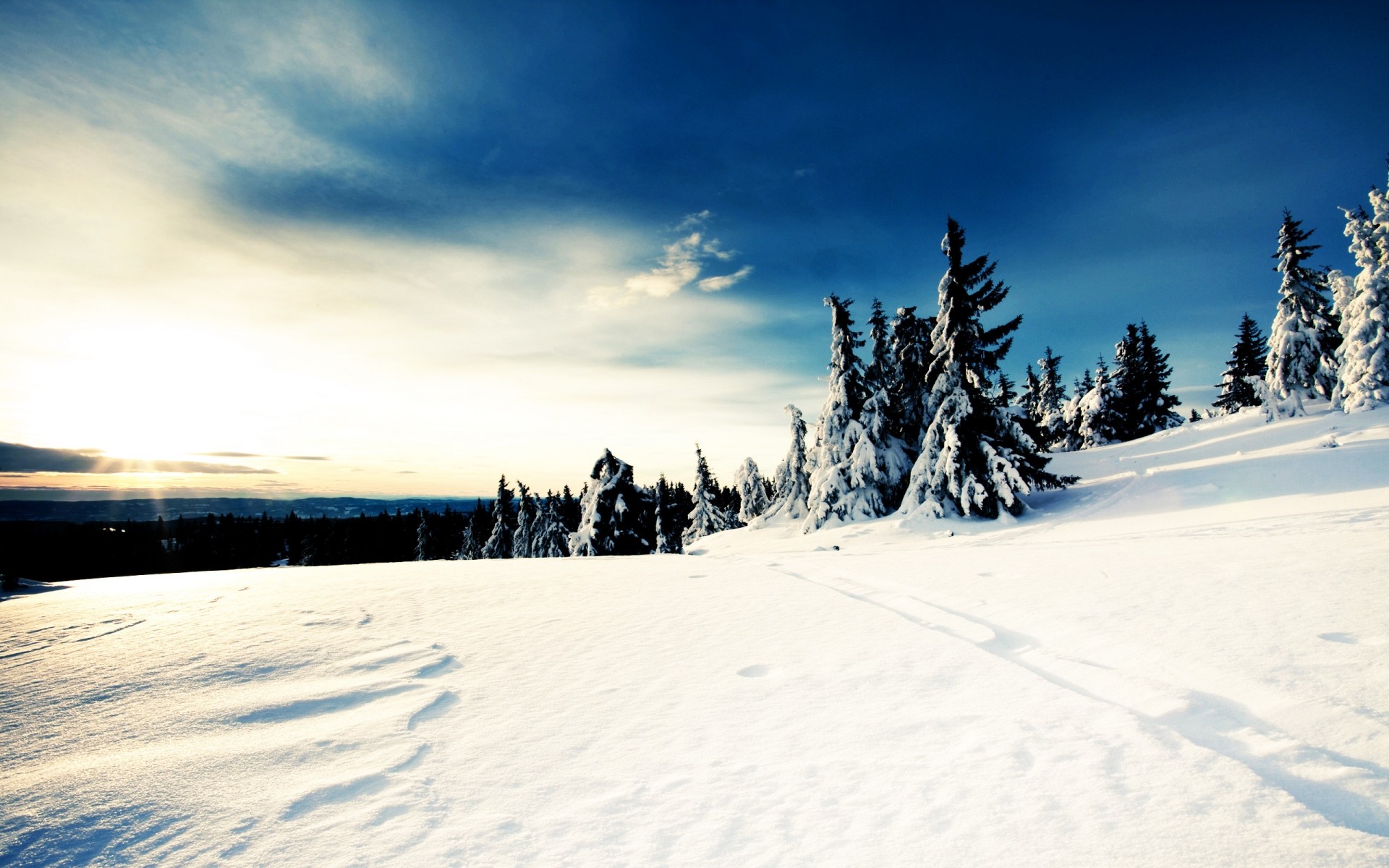 inverno neve freddo congelato gelo paesaggio scenico ghiaccio montagna resort albero tempo legno polvere pista stagione nevoso collina alberi cielo bianco blu