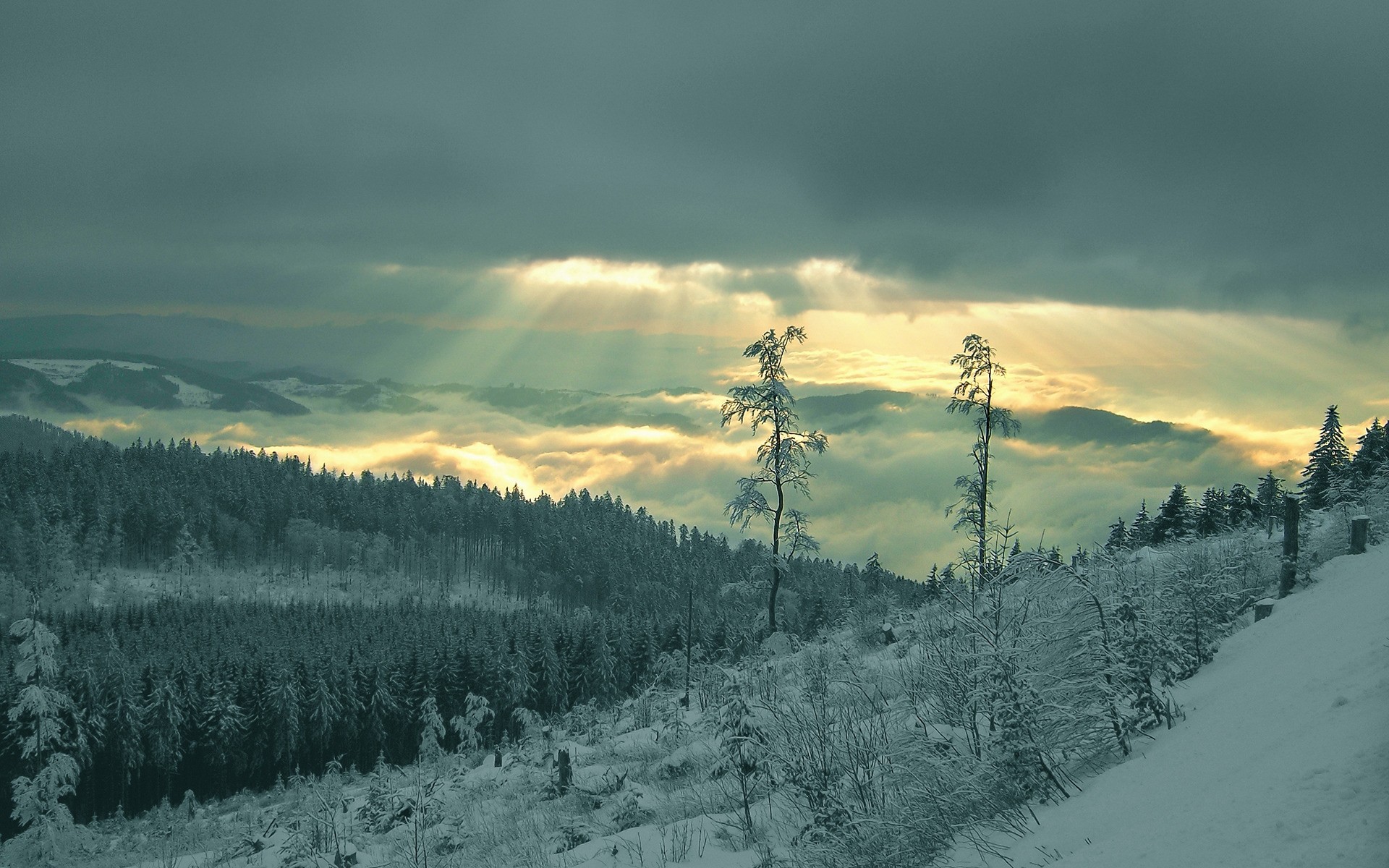 zima śnieg krajobraz drzewo góry drewno zimna mgła świt natura sceniczny evergreen lód wzgórze iglaste pogoda niebo mgła na zewnątrz drzewa chmury