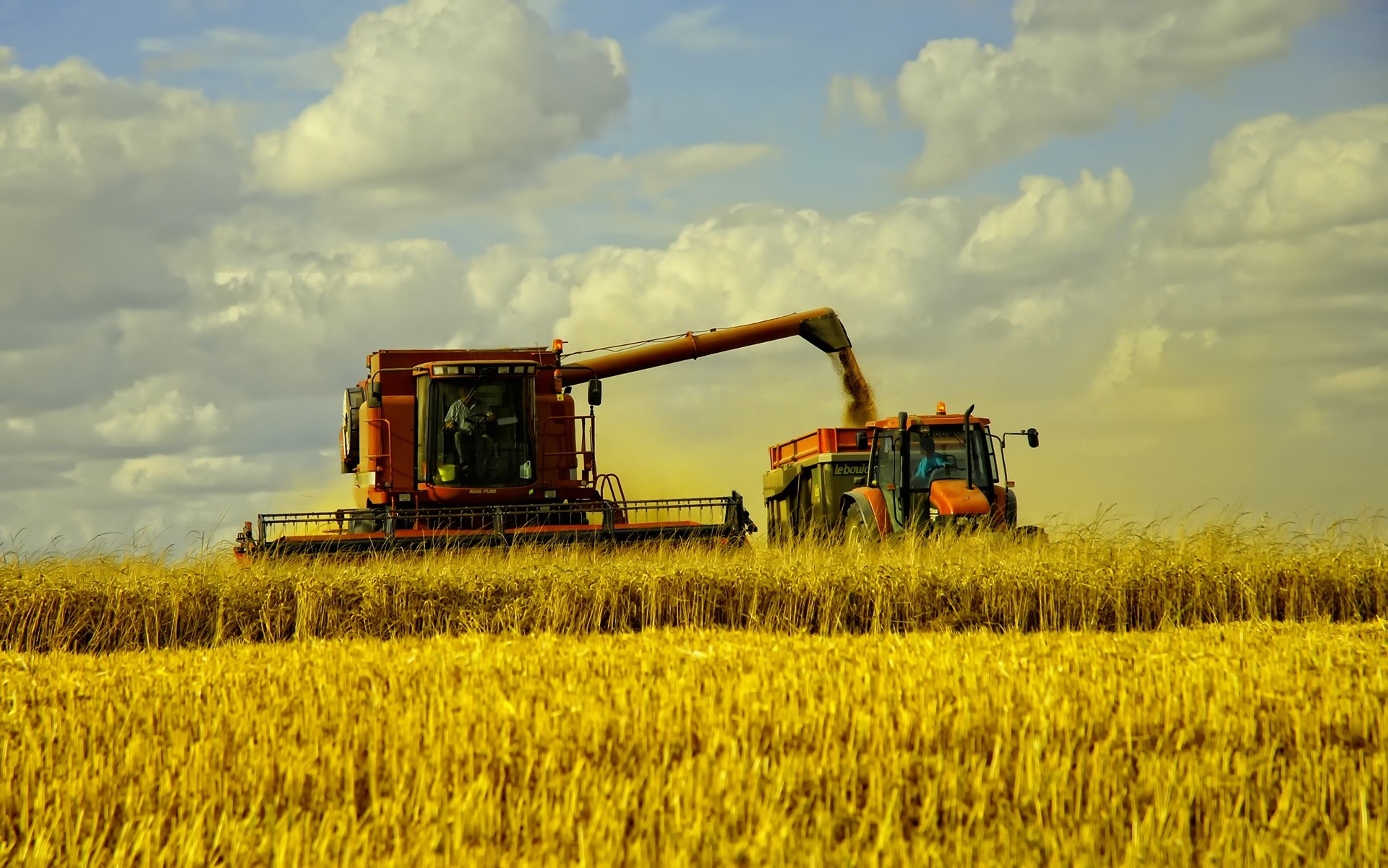 paysage agriculture ferme céréales industrie blé récolte champ pâturage rural maïs extérieur terres cultivées machine campagne silo environnement paysage ciel sol