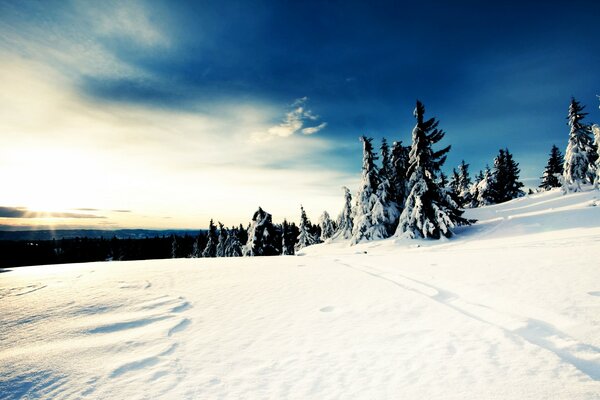 Beautiful sunny winter day