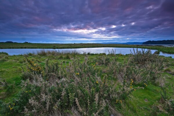 Landscape of a natural landscape with a lake