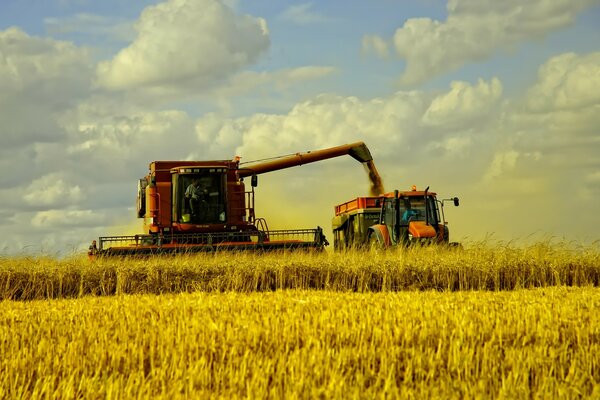 Máquinas agrícolas colhem colheitas