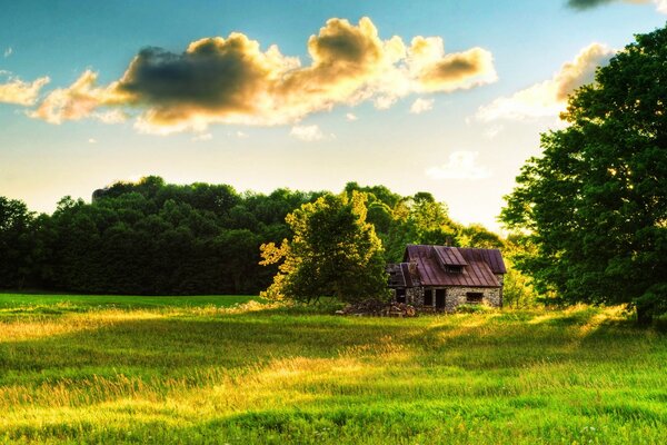 Ein einsames Märchenhaus im Wald