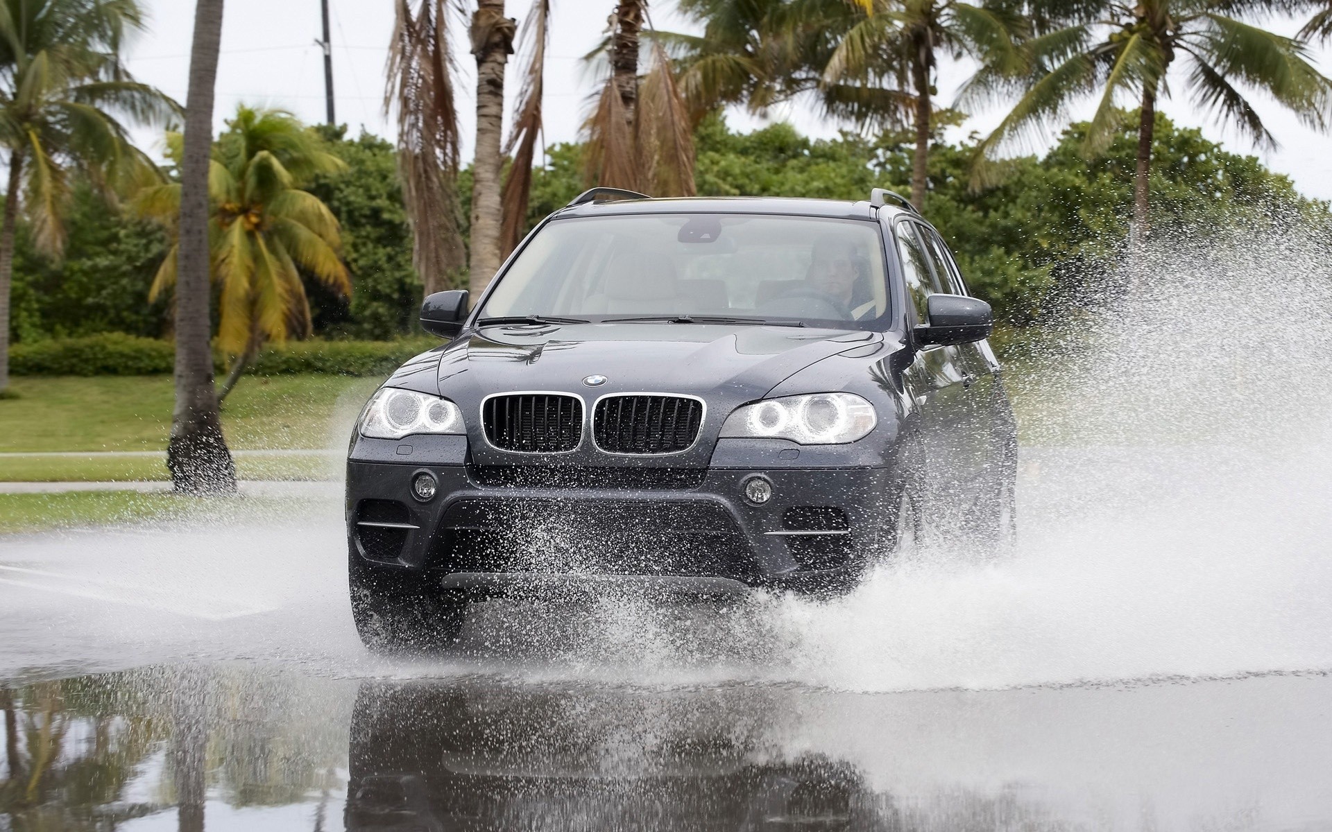 bmw water vehicle rain car tree outdoors weather transportation system motion travel landscape environment road daylight river bmw x5