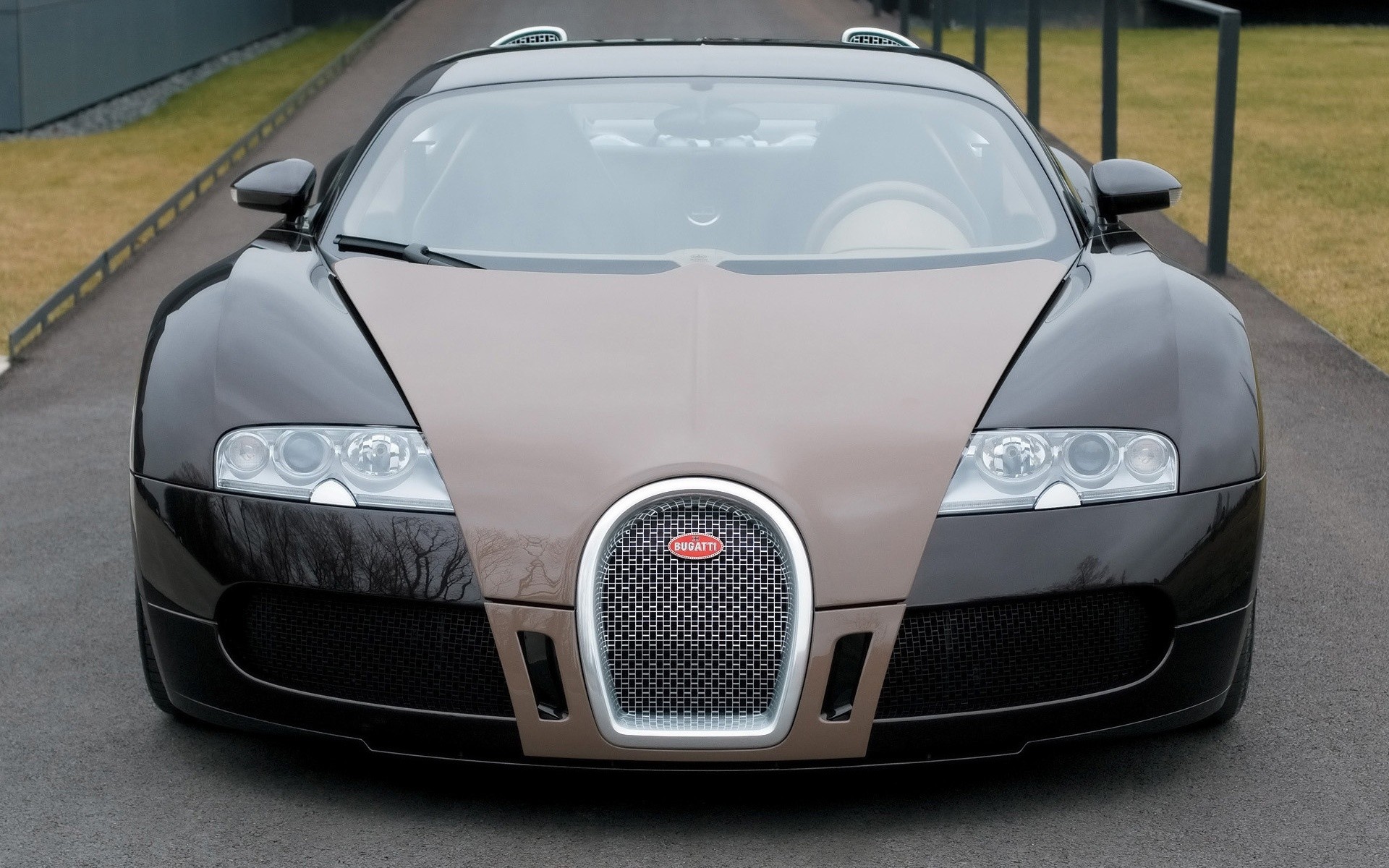 bugatti carro carro rodas sistema de transporte rápido coupe drive pressa mostrar capô asfalto bugatti veyron