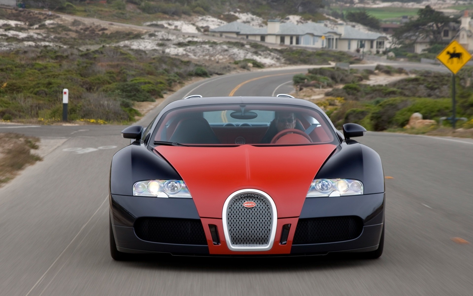 bugatti araba araba siyah kaldırım acele et asfalt ulaşım sistemi hızlı yol öğlen aksiyon bugatti veyron bugatti veyron vbr